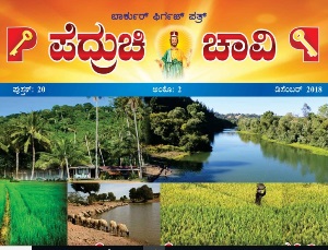 Pedruchi Chavi January 2019